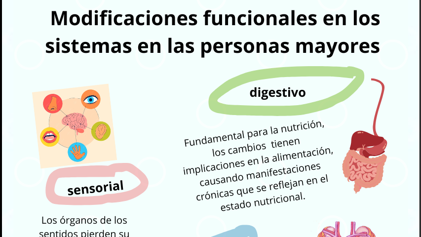 Imagen 9